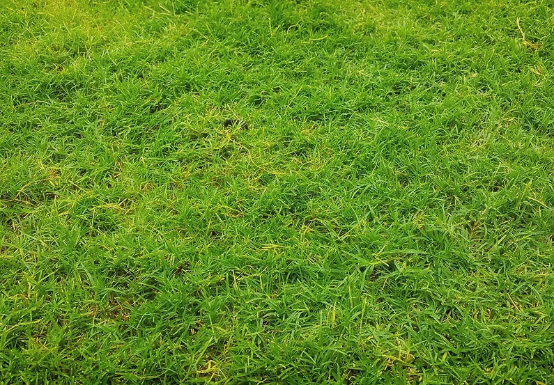 prodotti per il trattamento del prato sintetico